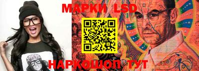 a pvp Новозыбков