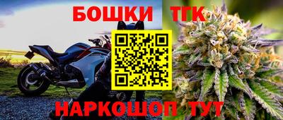 a pvp Новозыбков