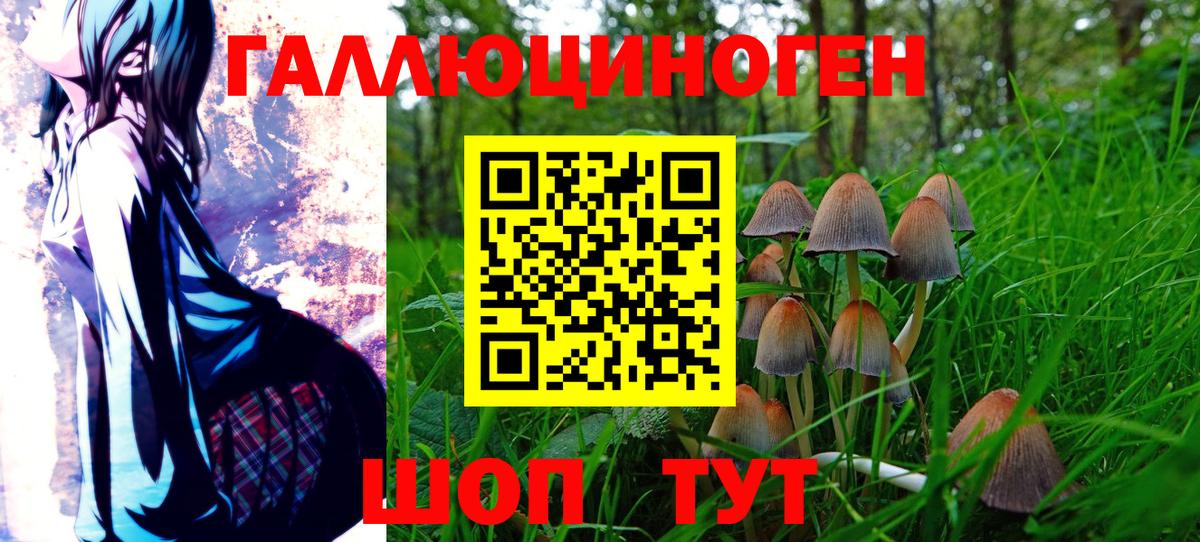 Хабаровск  Галлюциногенные грибы мухоморы  Вход с VPN 